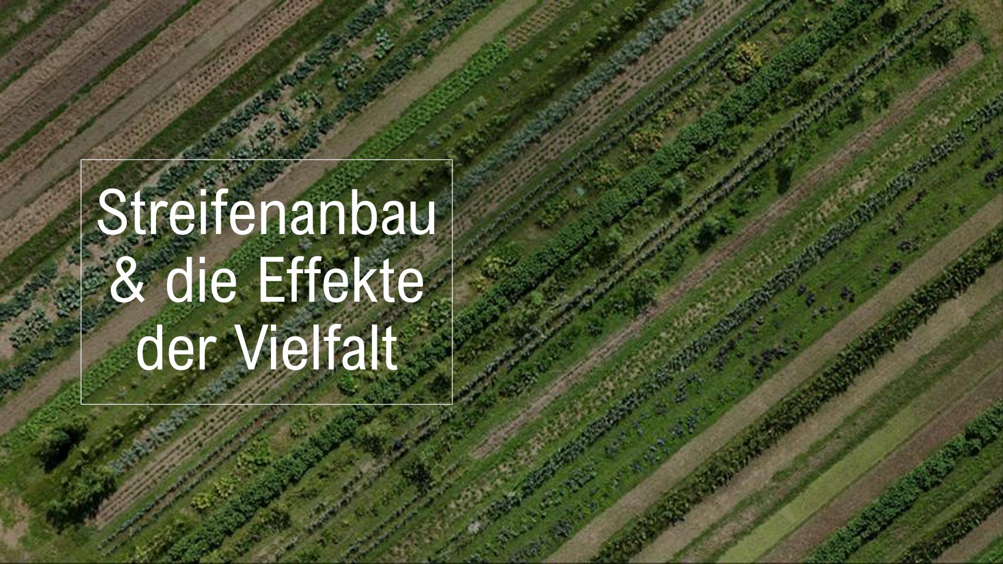 Vorschau Streifenanbau und Vielfalt