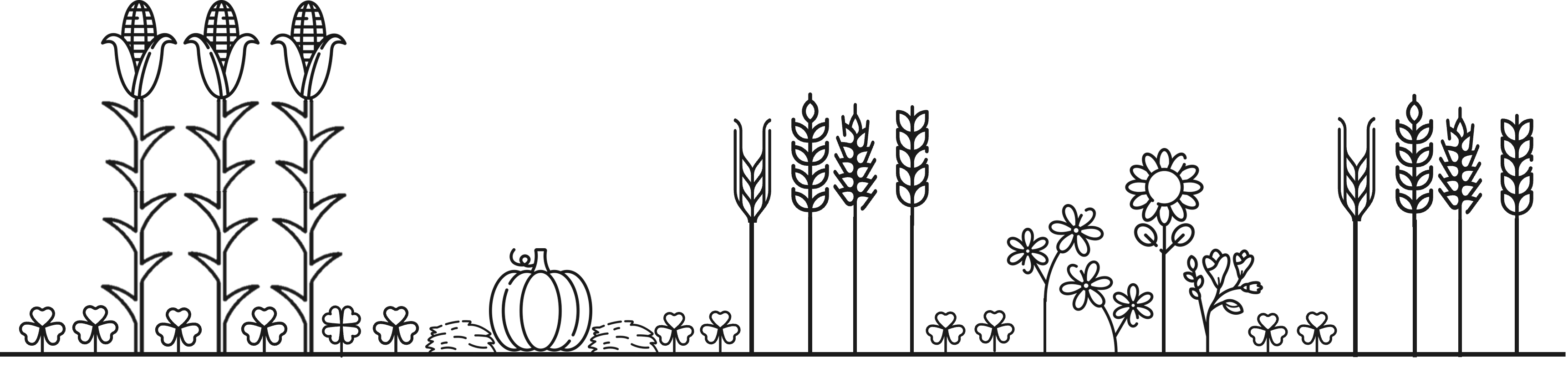 Cross-section of a field with biodiversity in strip cropping — interactive graphic