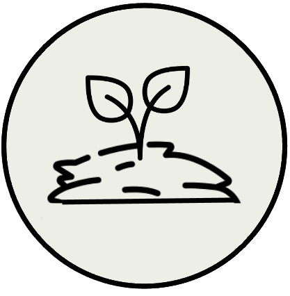 Icon Setzling im Mulch